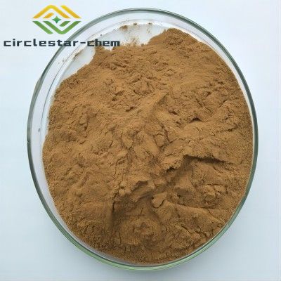 CAS    90045-36-6    Ginkgo biloba extract